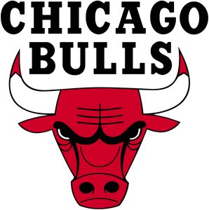 Chicago Bulls Fan Shop
