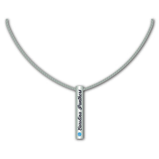 Carolina Panthers Necklace Silver Bar - Team Spirit Store USA 