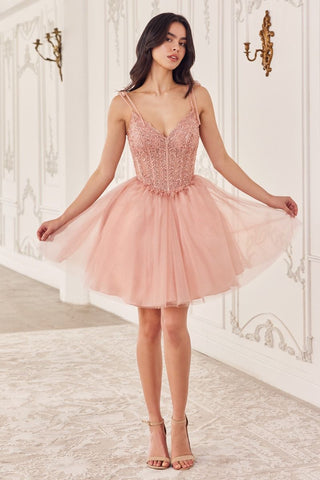 Dusty Blue, Gold & Blush Short Corset Tulle Dress | Sparkly A-Line Mini Party Dress  CDCD0236-4