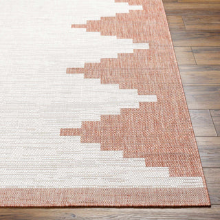 Djugun Peach Fuzz Indoor & Outdoor Rug-2