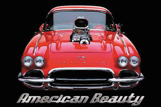 The American Beauty 24x36 Premium Poster - Team Spirit Store USA 