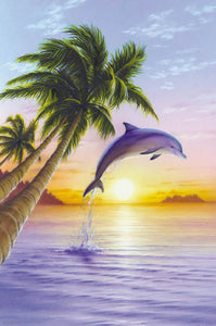 Jumping Dolphin Sunrise 24x36 Premium Poster - Team Spirit Store USA 