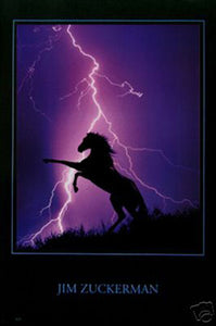 Lightning Horse 24x36 Premium Poster - Team Spirit Store USA 