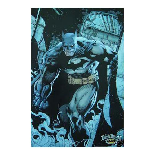 Batman Dark Knight 24x36 Premium Poster - Team Spirit Store USA 
