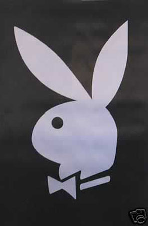 Playboy Logo 24x36 Premium Poster - Team Spirit Store USA 