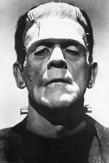 Frankenstein Classic Portrait 24x36 Movie Poster - Team Spirit Store USA 