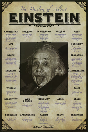 Albert Einstein Wisdom 24x36 Premium Poster - Team Spirit Store USA 